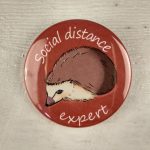Social Distance Expert