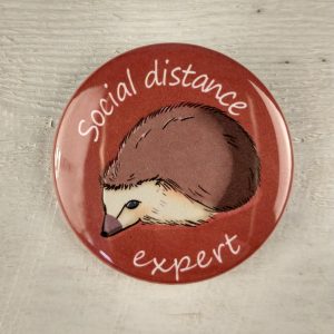 Social Distance Expert 1