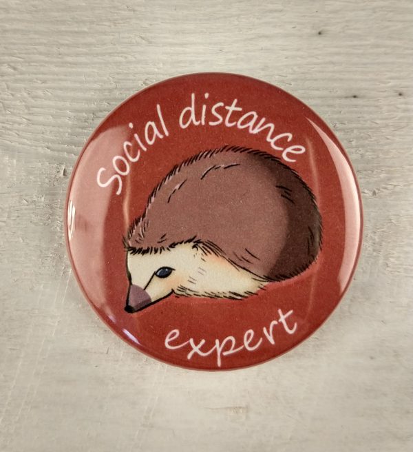 Social Distance Expert